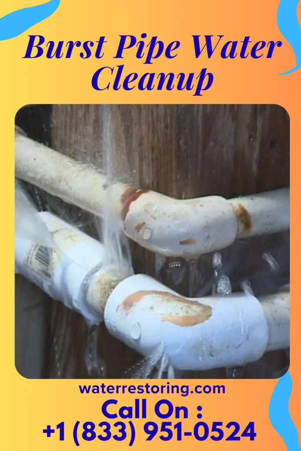 Burst Pipe Water Cleanup in Palmyra, NJ