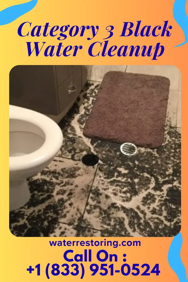 Category 3 Black Water Cleanup in Palmyra, NJ
