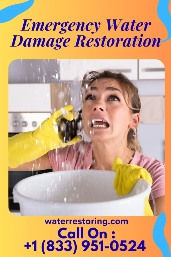 Emergency Water Damage Restoration in Palmyra, NJ
