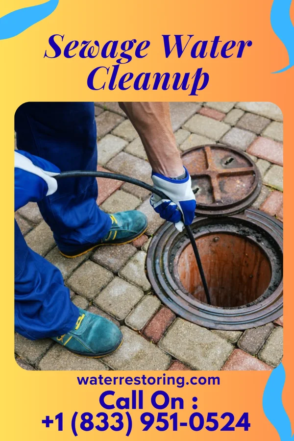 Sewage Water Cleanup in Palmyra, NJ