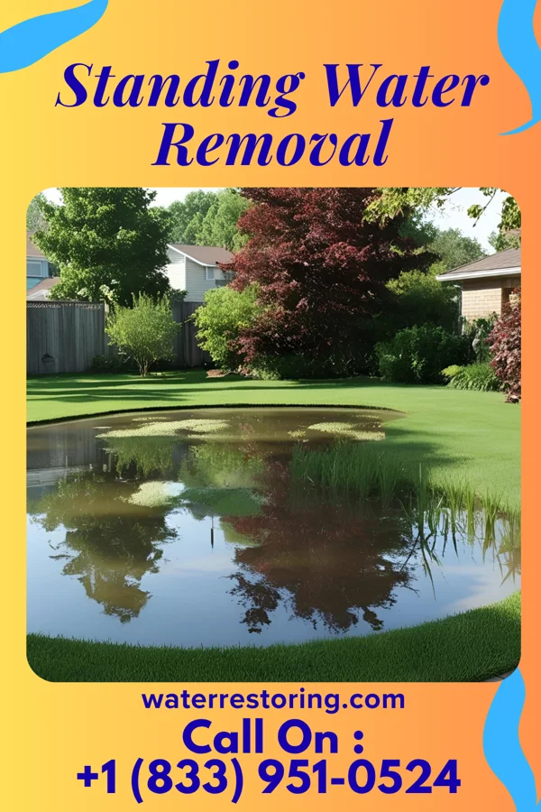 Standing Water Removal in Palmyra, NJ